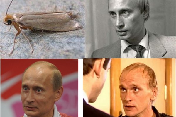 Кракен макет даркнет
