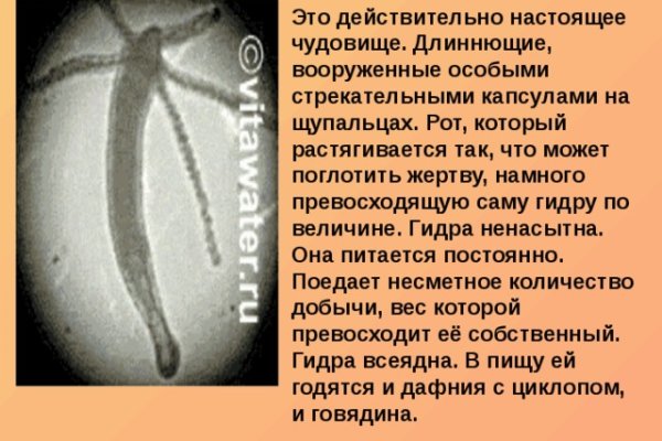 Кракен площадка зеркало