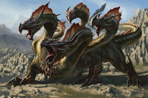 Kraken19 at