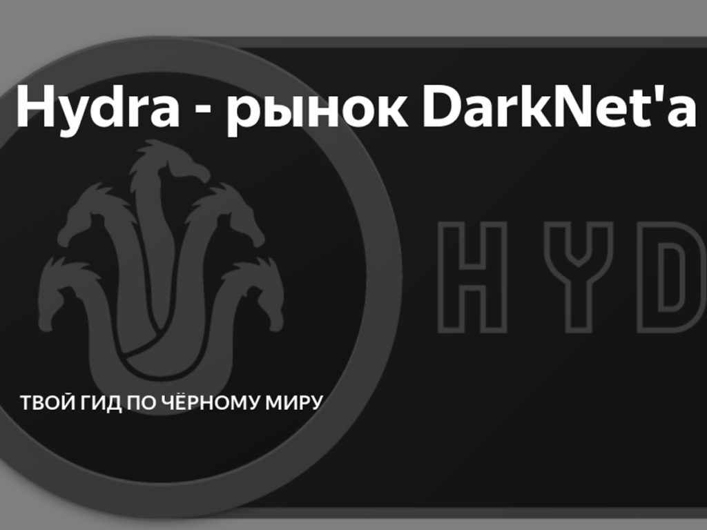 Kraken site