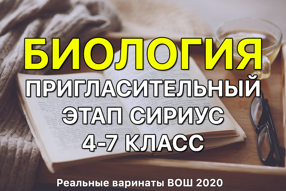 Список даркнет сайтов