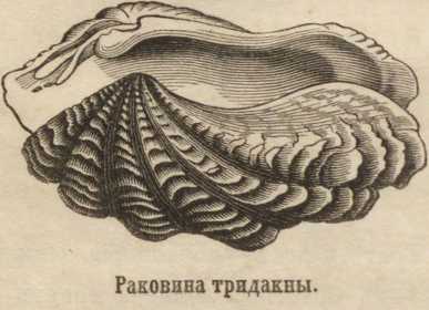 Кракен ссылка fo feng crmp ru